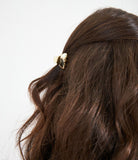 Set di fermacapelli