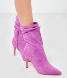 Viola